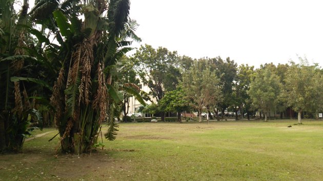 東寧運動公園の風景
